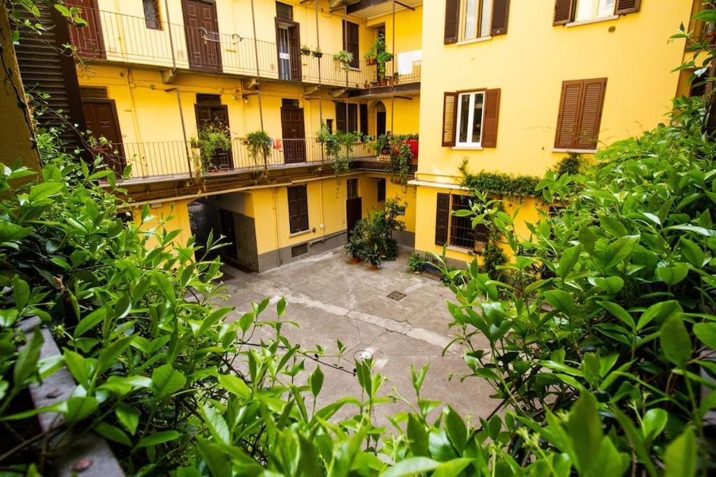 Palm Apartamento *