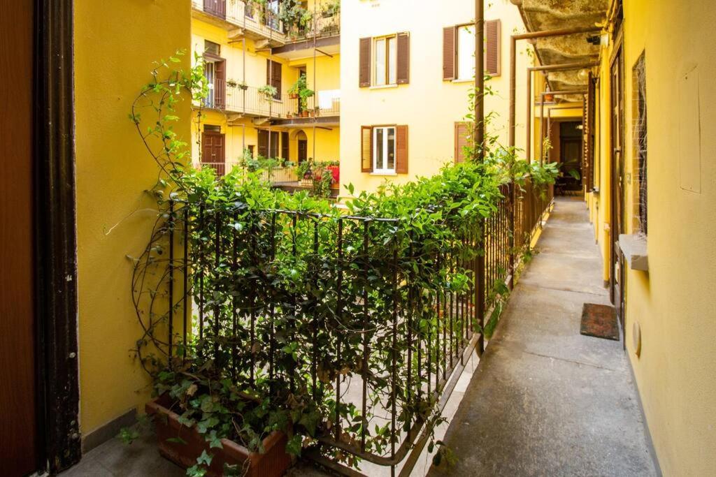 Palm Apartamento Milán